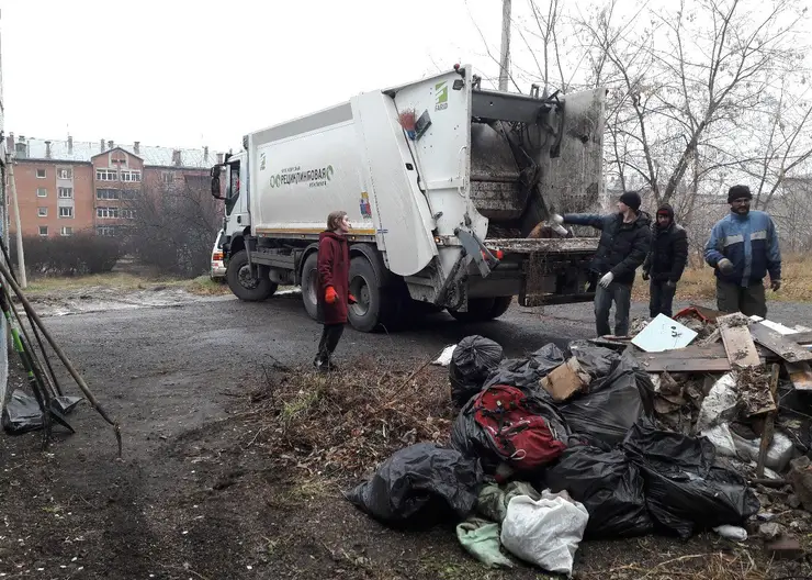 Красноярцы продолжают выбрасывать новогодние елки