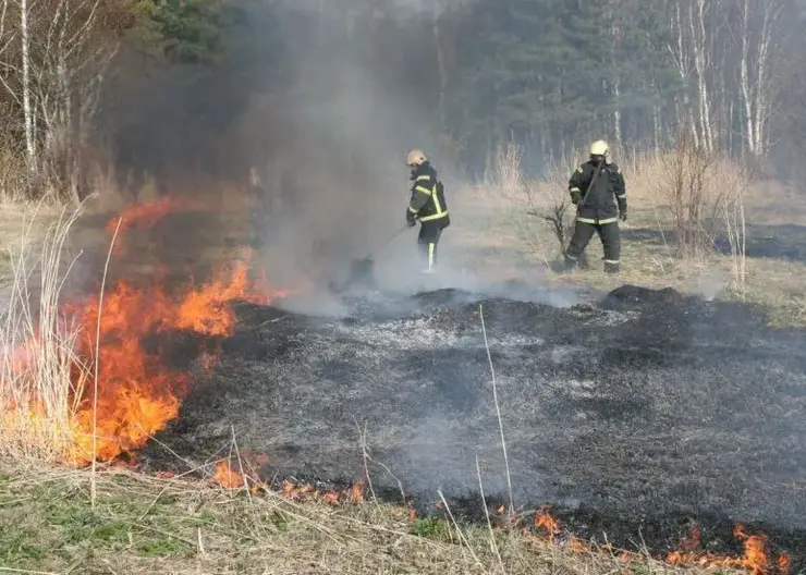 Почти пять тысяч гектаров сухой травы незаконно выжгли жители  края с начала года