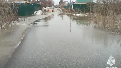 Число подтопленных дачных участков в Томской области увеличилось на 20 с утра 16 апреля