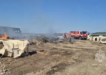 Шесть пожаров ликвидировали в Красноярском крае за сутки: погибших нет