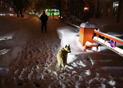 Бастрыкин потребовал доклад по делу о заблокированном проезде в красноярском ЖК