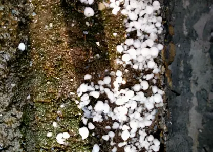 Мощный град обрушился на Красноярск: подборка видео