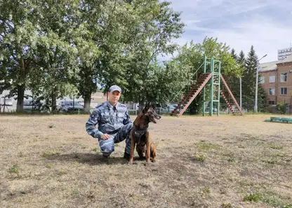 В Ачинске полицейские благодаря собаке установили напавшего с отвёрткой на мужчину злоумышленника