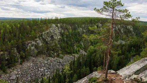 Кемеровчанка выиграла ультратрейл в сибирской тайге