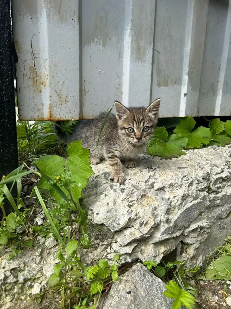 Фото: Иван Ямашев