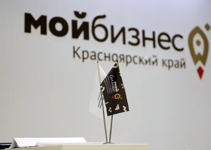 Более 5,5 тысяч предпринимателей и самозанятых Красноярского края получили господдержку в этом году