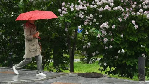 В выходные в Красноярске ожидаются дожди