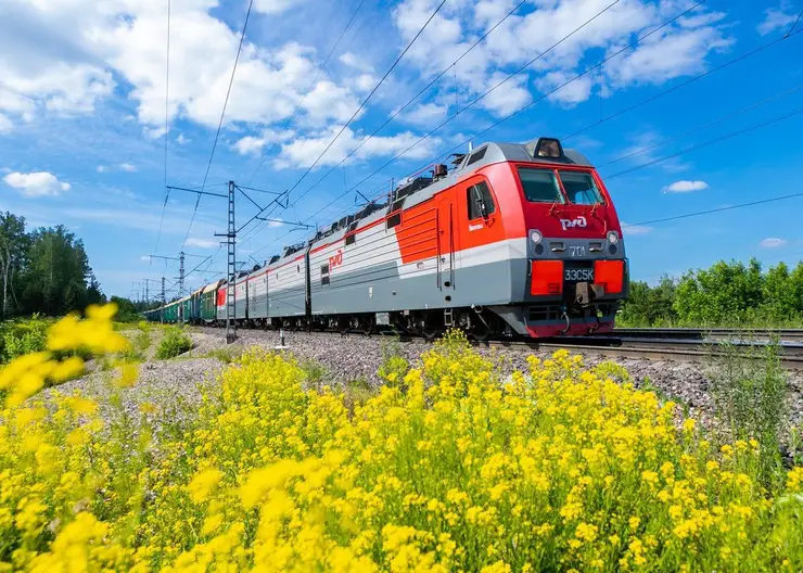 Видеоловушки помогут бороться с нарушителями чистоты на пригородных платформах Красноярской железной дороги