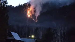 Житель Шушенского района заплатит 900 тысяч за тушение лесного пожара, возникшего из-за пала травы