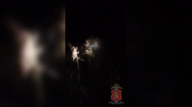 Пенсионерку и мужчину спасли в лесу полицейские в Красноярском крае