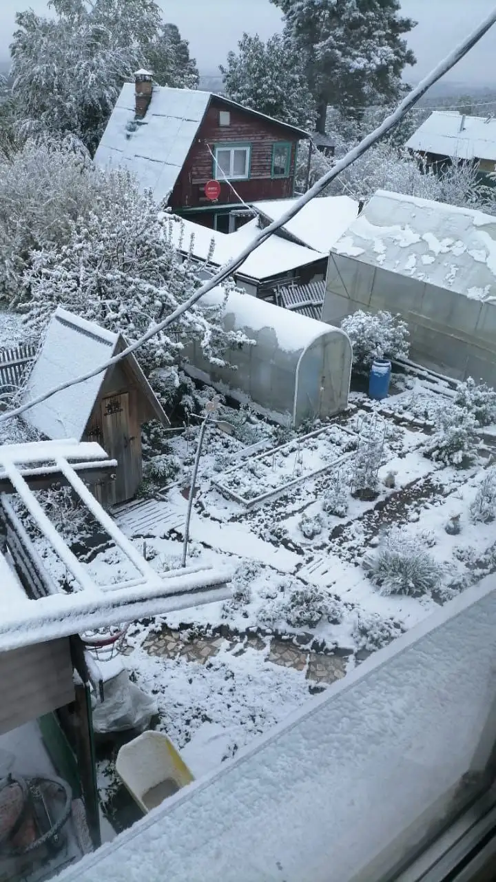 Фото: Telegram-канал «Мэрия Красноярска»