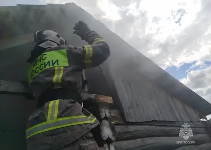 В Красноярском крае за неделю потушили 94 пожара