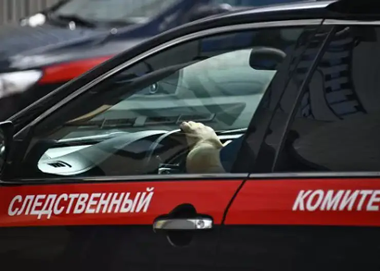 Подозреваемую в убийстве мужчины пенсионерку из Ачинска заключили под стражу