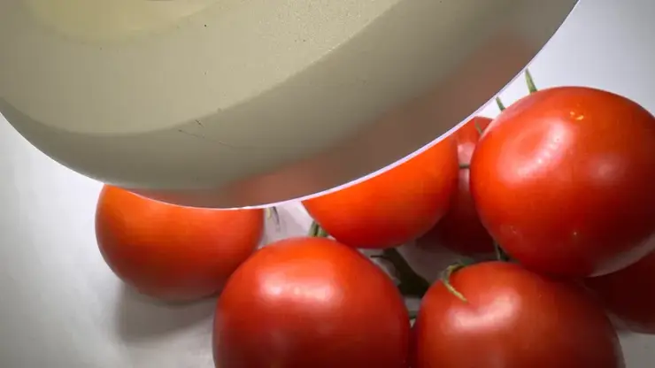 18 тонн зараженных томатов из Казахстана остановили на границе в Алтайском крае