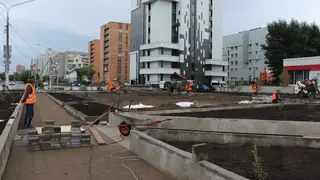 В «Цветочном квартале» Красноярска посадили кабачки и сделали клумбы из бетона В «Цветочном квартале» Красноярска посадили кабачки и сделали клумбы из бетона