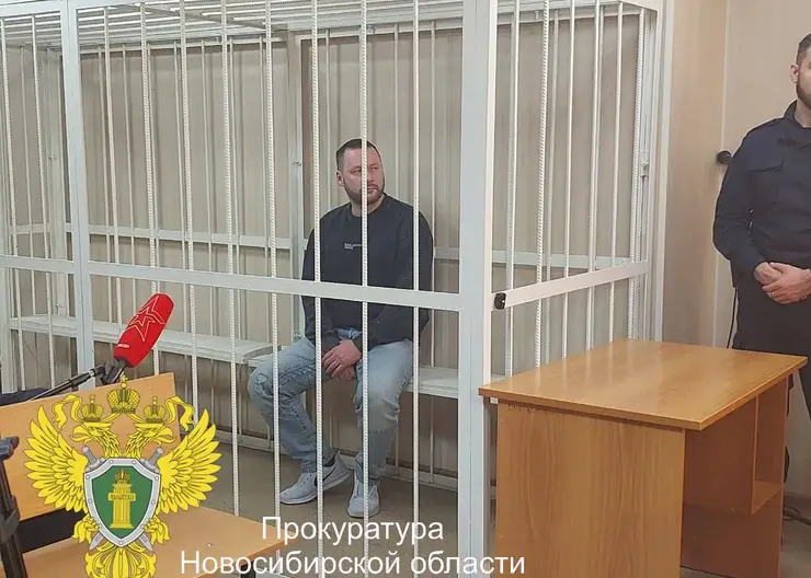 В Новосибирске собственника обрушившегося ТЦ отправили под стражу