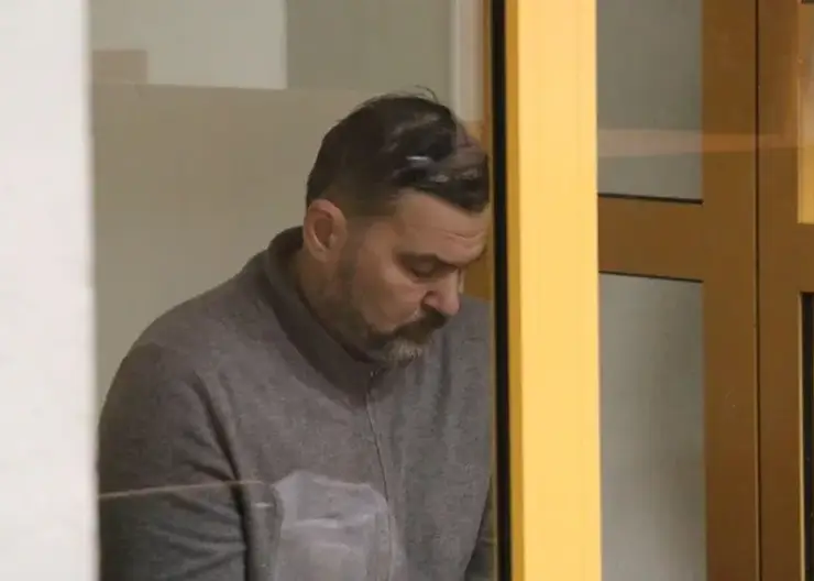 Главврач новокузнецкой горбольницы №1, где в новогодние праздники умерли девять новорожденных, отправлен под домашний арест