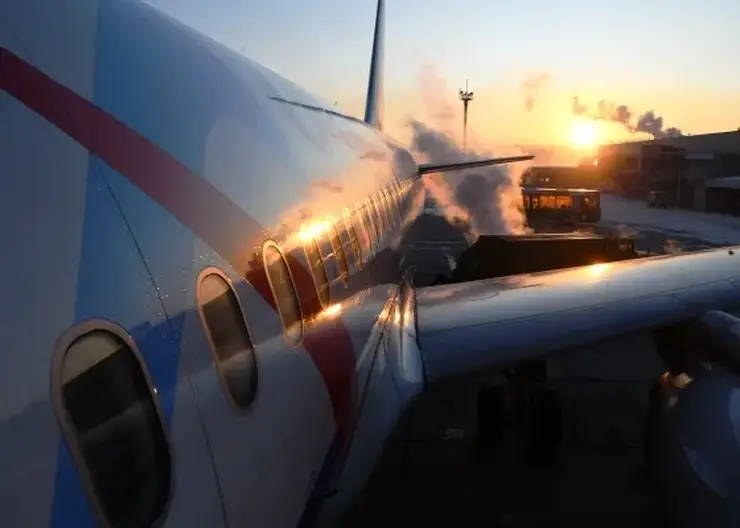 Птица попала в турбину самолета во время взлета в Чите: рейс пришлось перенести