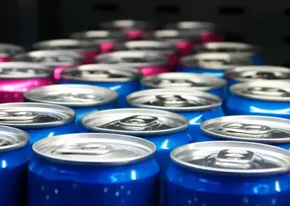 Госдума приняла закон об обязательном предупреждении о вреде энергетиков