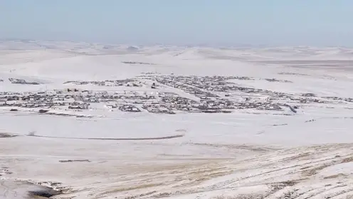 В Забайкалье введен режим ЧС из-за вспышки пастереллёза у скота