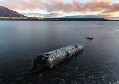 Подросток утонул в Норильске