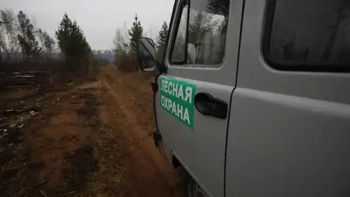 Авиамониторинг лесов нарастят в Иркутской области перед сезоном пожаров