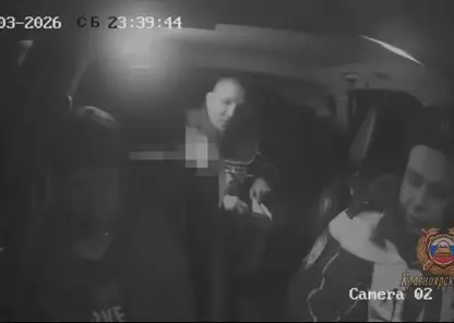 В Красноярском крае пьяная женщина без прав везла пятерых детей, один из которых был без кресла