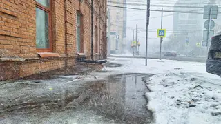 Красноярцев ждёт тёплая неделя: холодный понедельник сменится резким потеплением Красноярцев ждёт тёплая неделя: холодный понедельник сменится резким потеплением