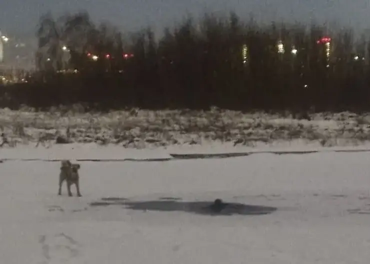 Красноярец провалился под лед в районе улицы Дубровинского, когда гулял с собакой