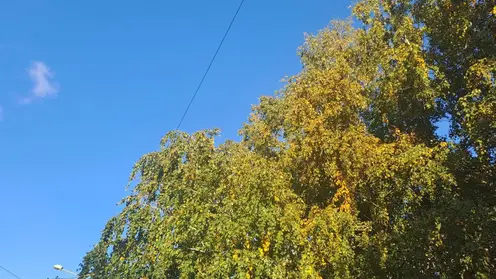 В Омске и Новосибирске из-за жаркой погоды установлен температурный рекорд