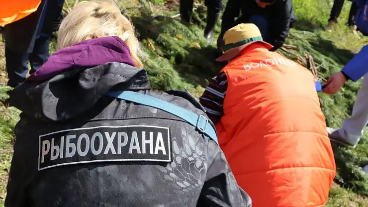 Эн+ установила искусственные нерестилища на Красноярском водохранилище