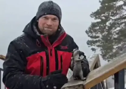 В Красноярске появился новый бронзовый суслик «Турист». Где можно его найти?