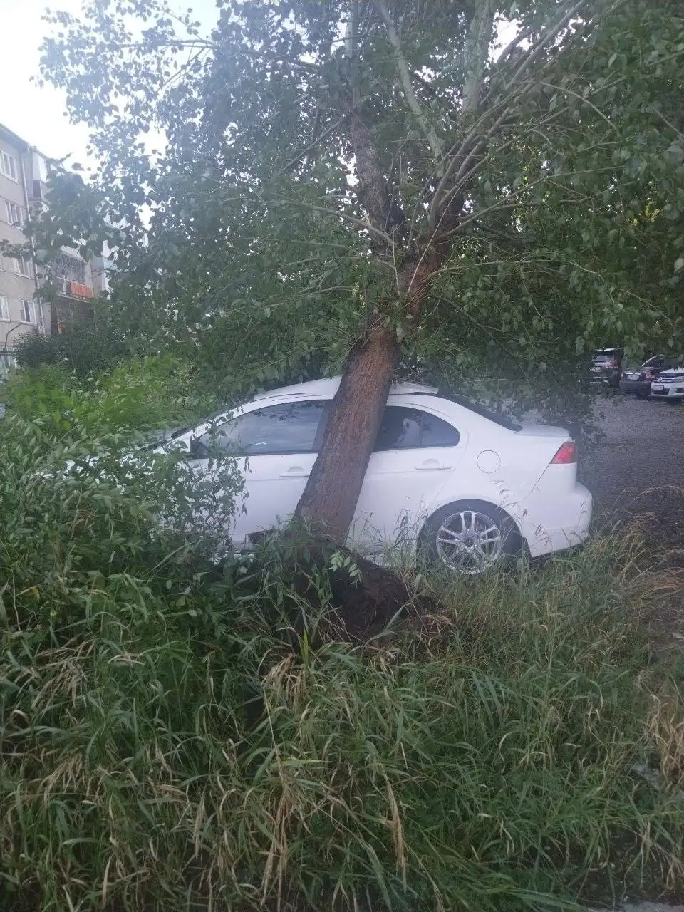 Фото: Telegram-канал «Саяногорск Главный»