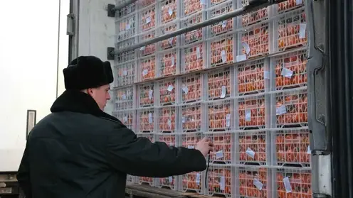 Объем прямых поставок импортных фруктов и овощей в Красноярский край увеличился на 40%