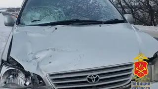 В Кузбасса женщина погибла под колесами автомобиля на пешеходном переходе