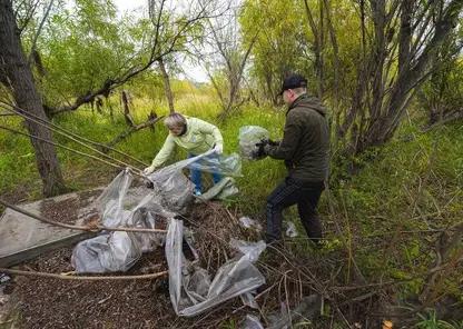 На берегу Енисея в акватории Красноярска насобирали 5 тонн мусора