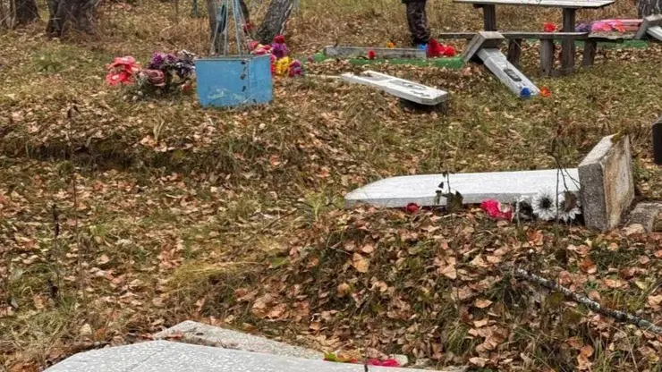 В Новосибирской области трое детей разгромили надгробия на кладбище