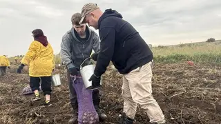 Школьники собрали 520 мешков картофеля для семей участников СВО Школьники собрали 520 мешков картофеля для семей участников СВО