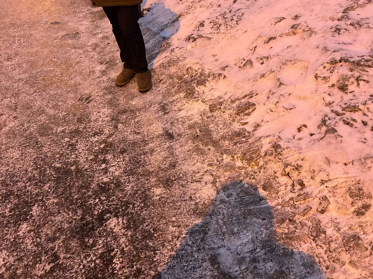 Фото: sibnovosti.ru