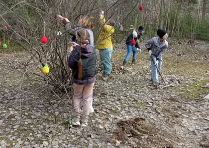 В дендрарии Дивногорска после реконструкции увеличилось число посетителей