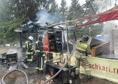 В Центральном парке Красноярска загорелось кафе