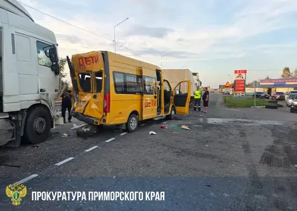 Шестеро детей пострадали в ДТП с автобусом и двумя фурами на трассе «Уссури» в Приморье