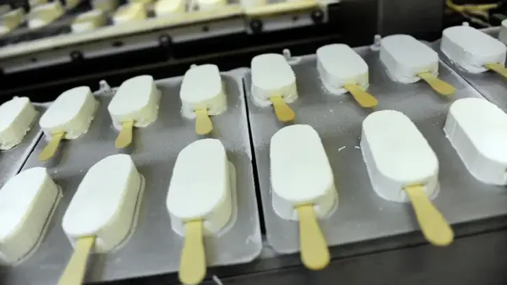 Омская область нацелена на производство палочек для мороженого и клея ПВА