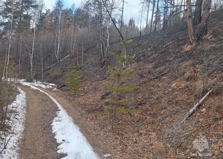 Зампред правительства Забайкалья объявил сроки начала пожароопасного сезона в центральных и северных округах