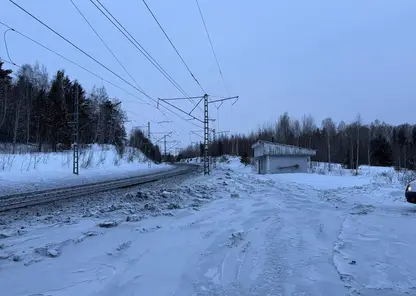 В Красноярском крае грузовой поезд насмерть сбил пешехода
