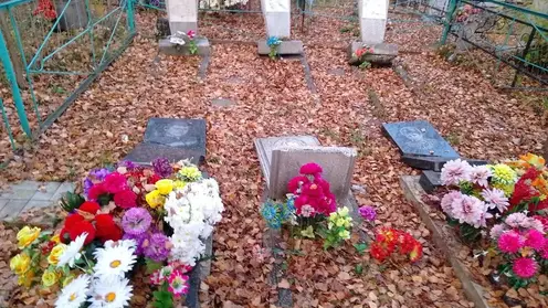 В Березовском районе вандалы осквернили кладбище: повреждены десятки могил