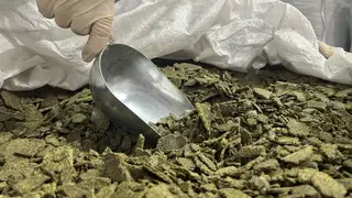 Из Красноярского края в Китай отправили больше пяти тысяч тонн рапсового жмыха