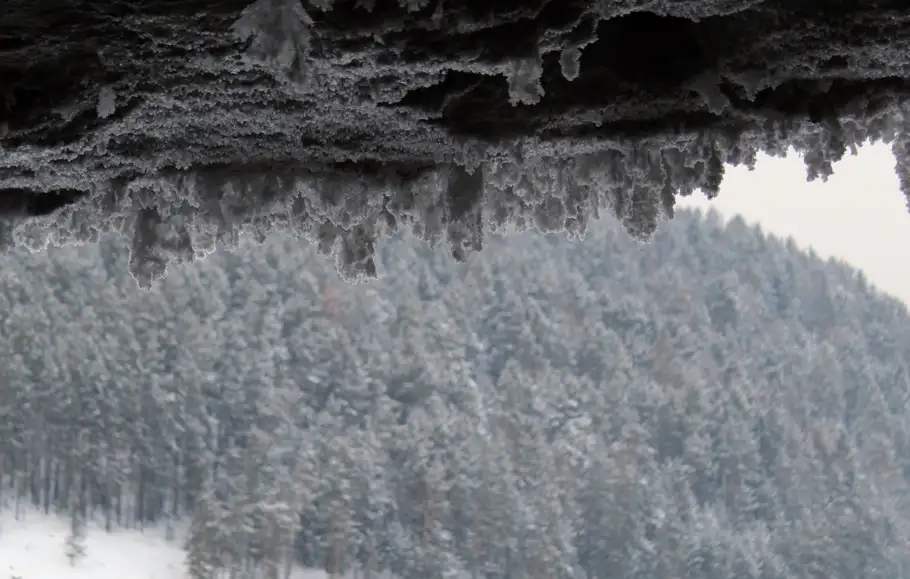 Фото: sibnovosti.ru