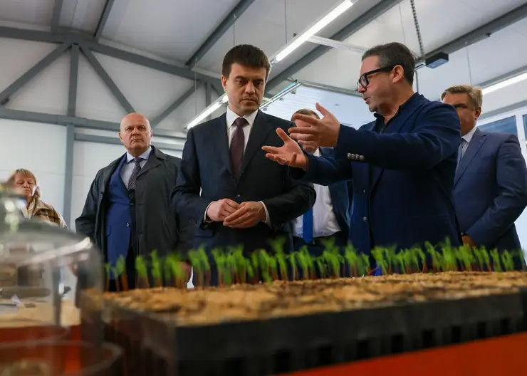 Губернатор Красноярского края Михаил Котюков посетил крупнейший лесной питомник в России