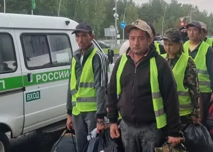 В Красноярском крае выдворили первых нелегалов после рейда в теплицах